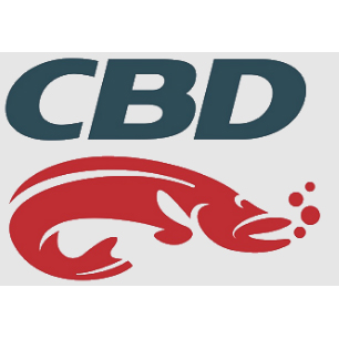 CBD, логотип, фото, лого